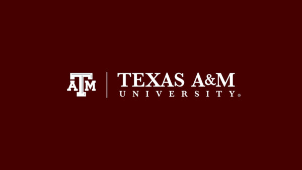 Tecas A&M University [TAMU]